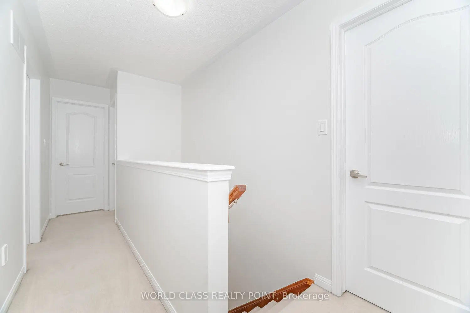 834 Herman Way photo 3