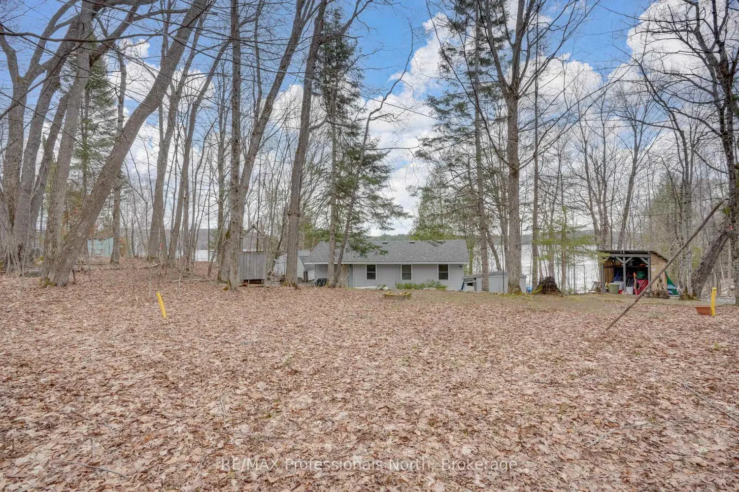Additional image 17 of 223B Sunnylea Avenue