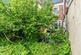 Additional image 11 of Woodstock Avenue, Redland, Bristol, BS6