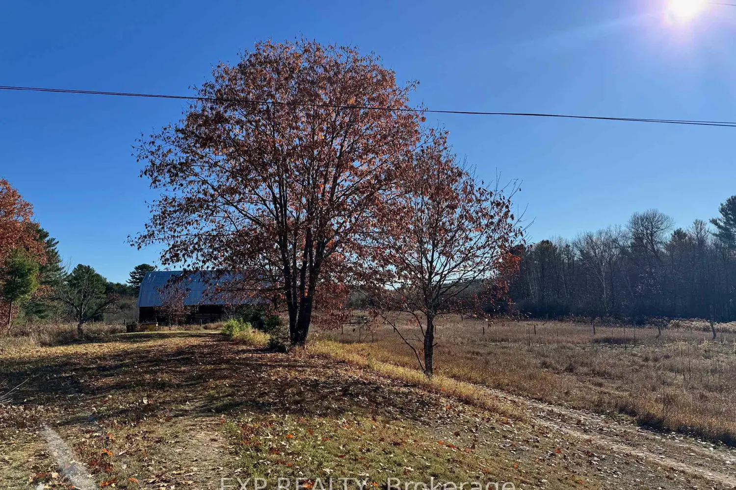 Additional image 19 of 30 Grannys Lane