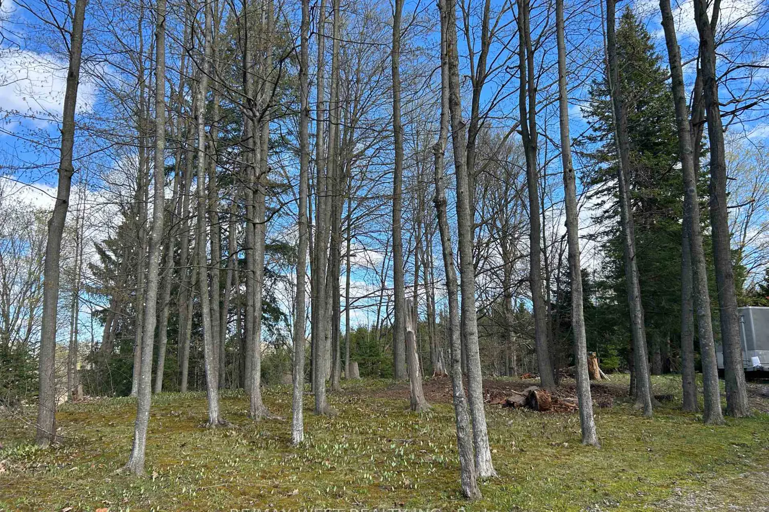 Additional image 5 of 55 Elmpine Trail