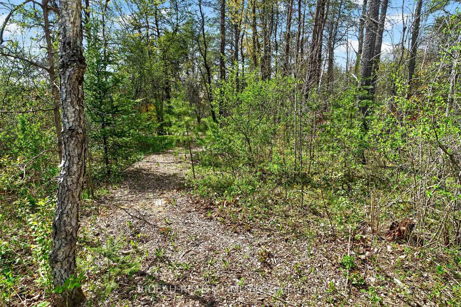 Additional image 16 of 44 Blanchards Hill Road