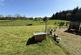 Additional image 21 of Buckland Filleigh, Beaworthy, Devon