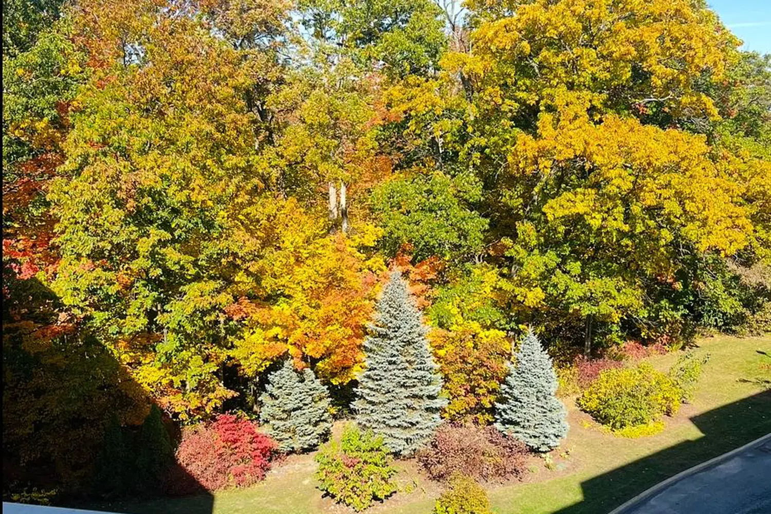 Additional image 19 of 8111 Forest Glen Drive 504
