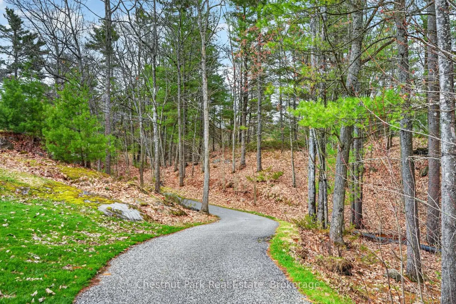 Additional image 12 of 120 Carrick Trail 210