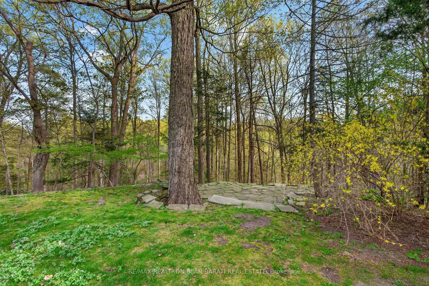 Additional image 16 of 73 Forest Grove Drive