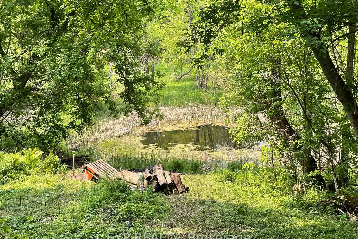 9254 County 1 photo 3