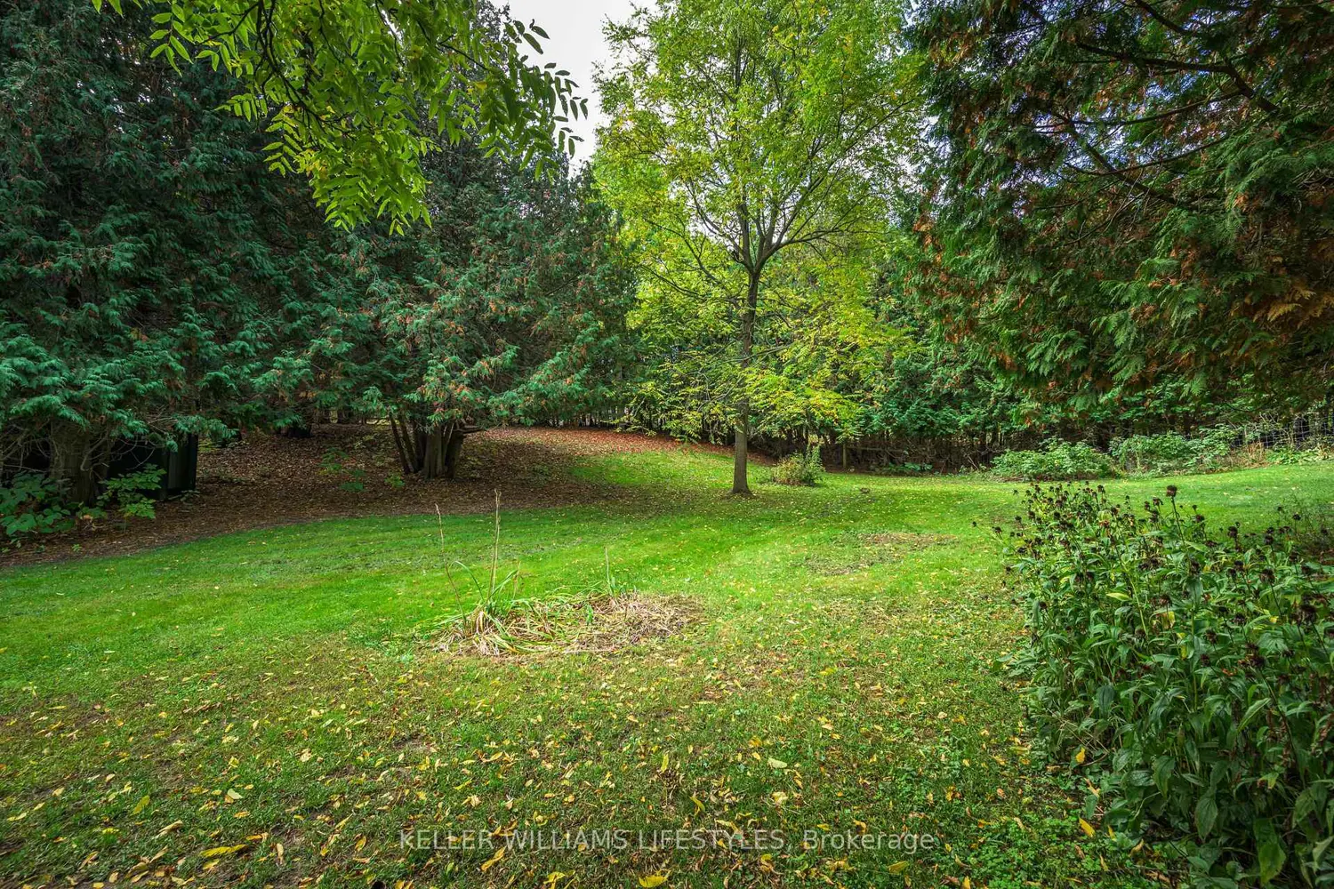 Additional image 12 of 15083 Medway Road