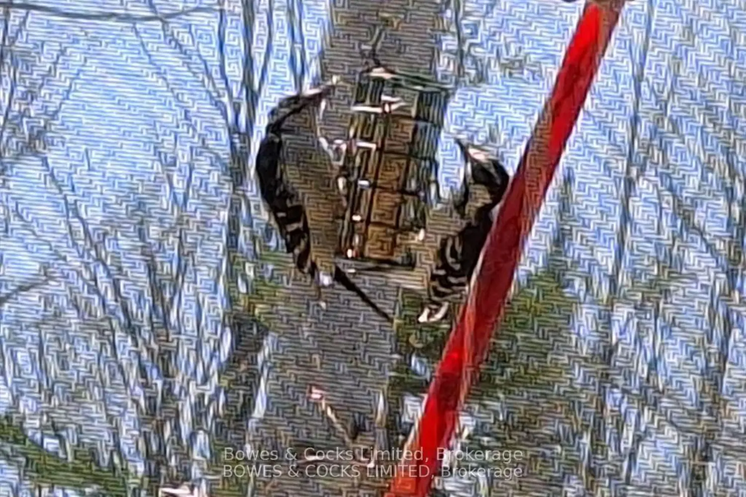 Additional image 12 of 72 Jones Road
