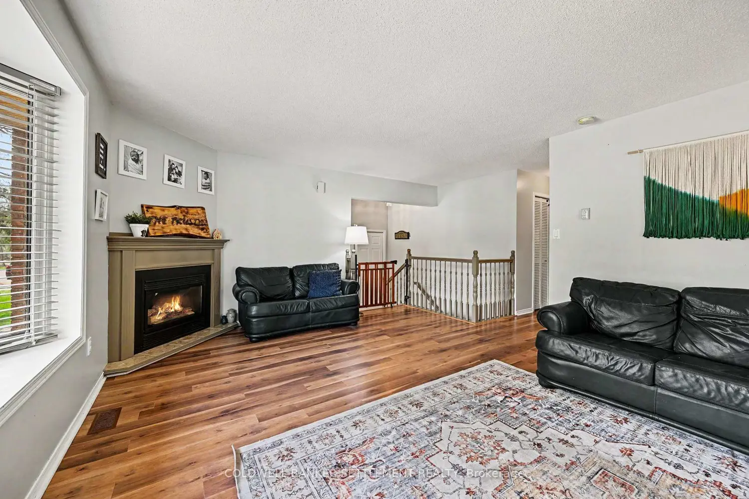 136 Charlotte Street photo 5