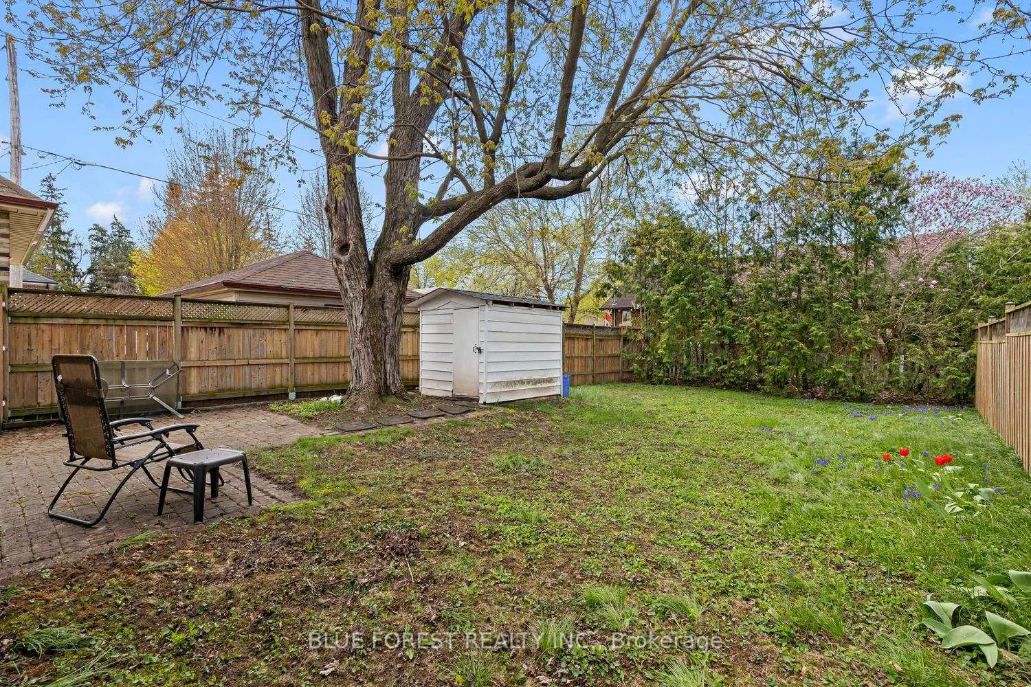 Additional image 19 of 581 Hale Street