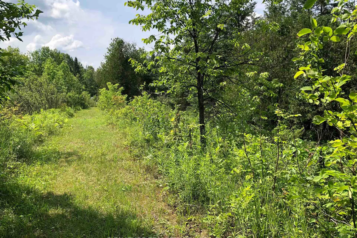 Additional image 9 of 3092 Scotch Bush Road