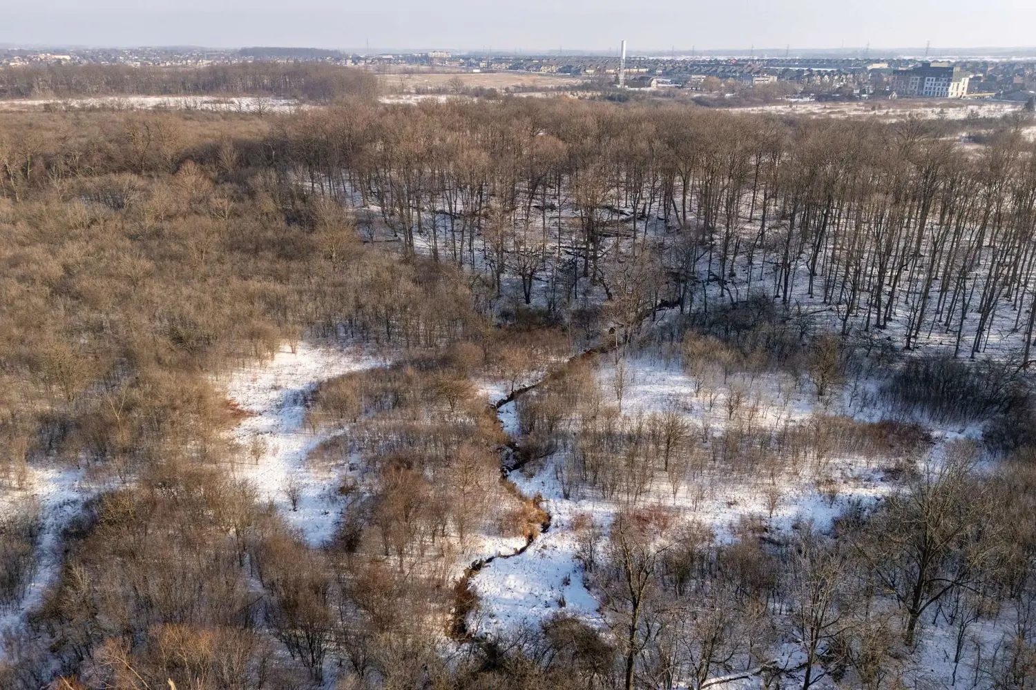 Additional image 17 of 70 Upper Mount Albion Road