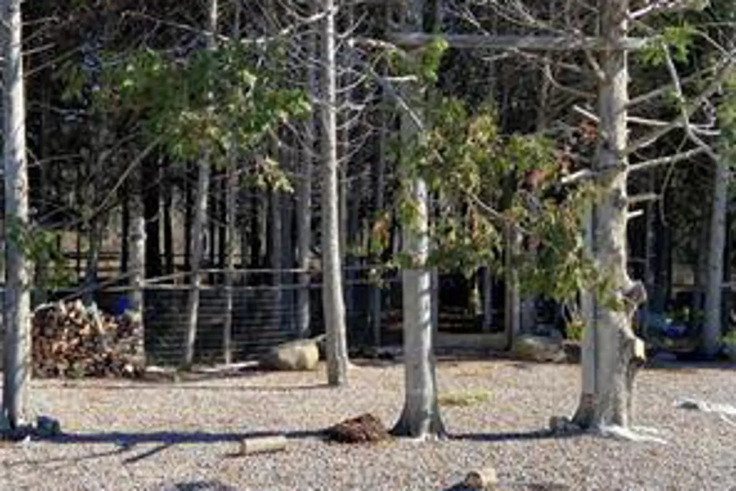 Additional image 12 of 2916 Shannonville Road