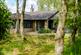 Tranwell Woods, Morpeth NE61