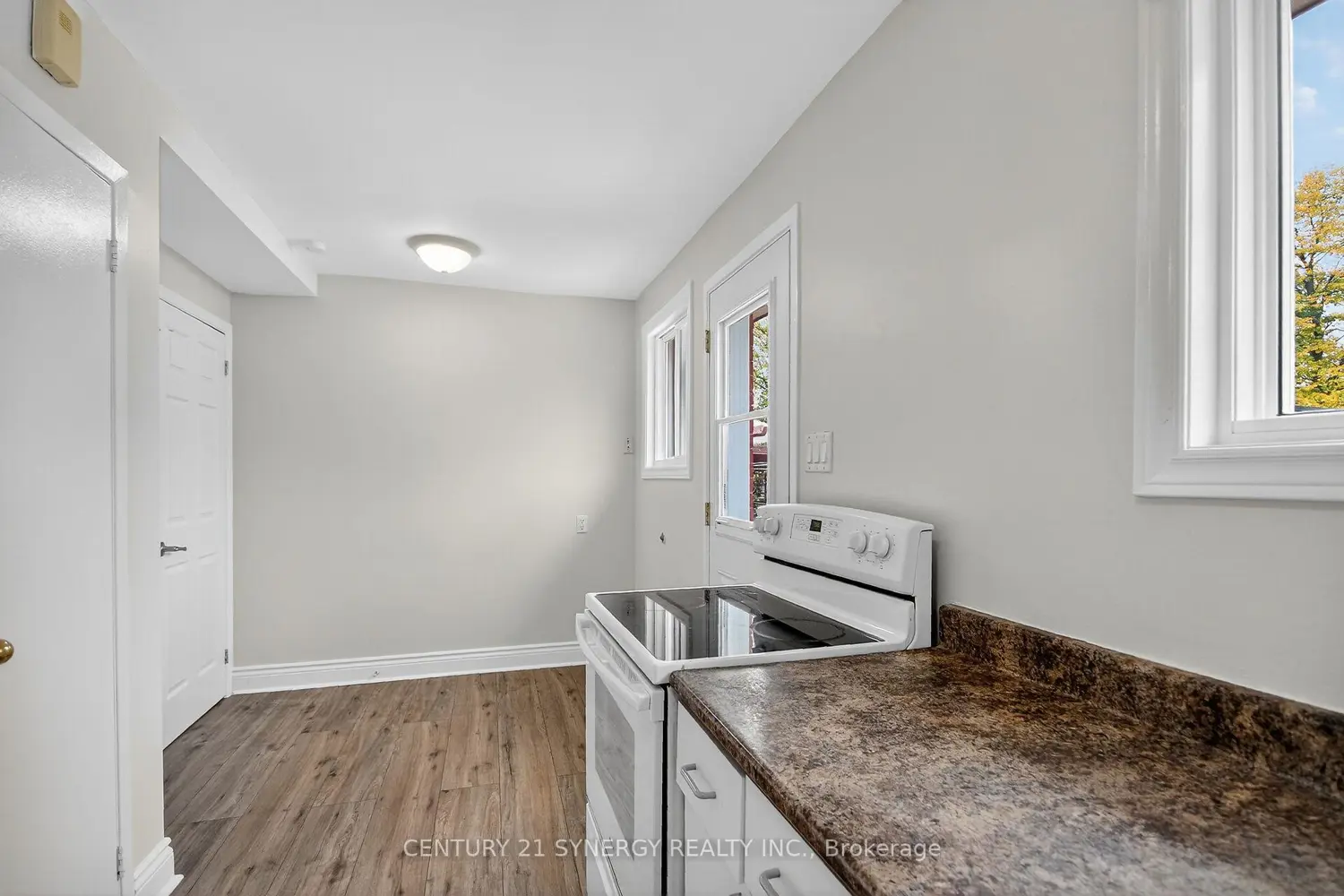 928 Meadowlands Drive photo 2