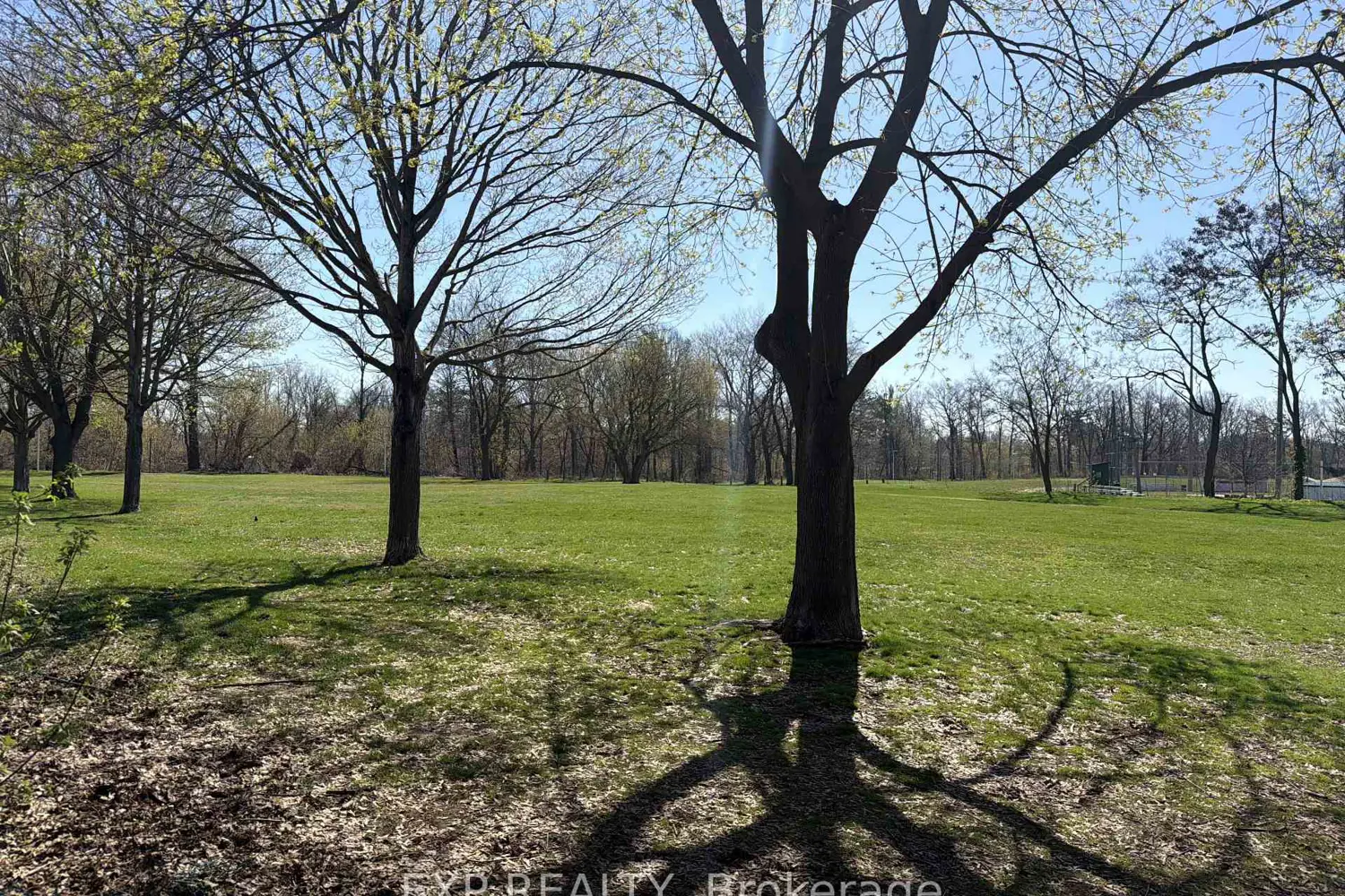 Additional image 17 of 187 Lisgar Ave Avenue 204