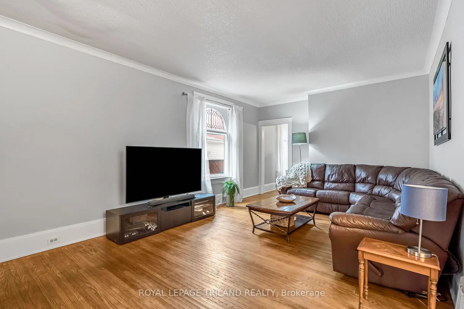75 Chester Street photo 4
