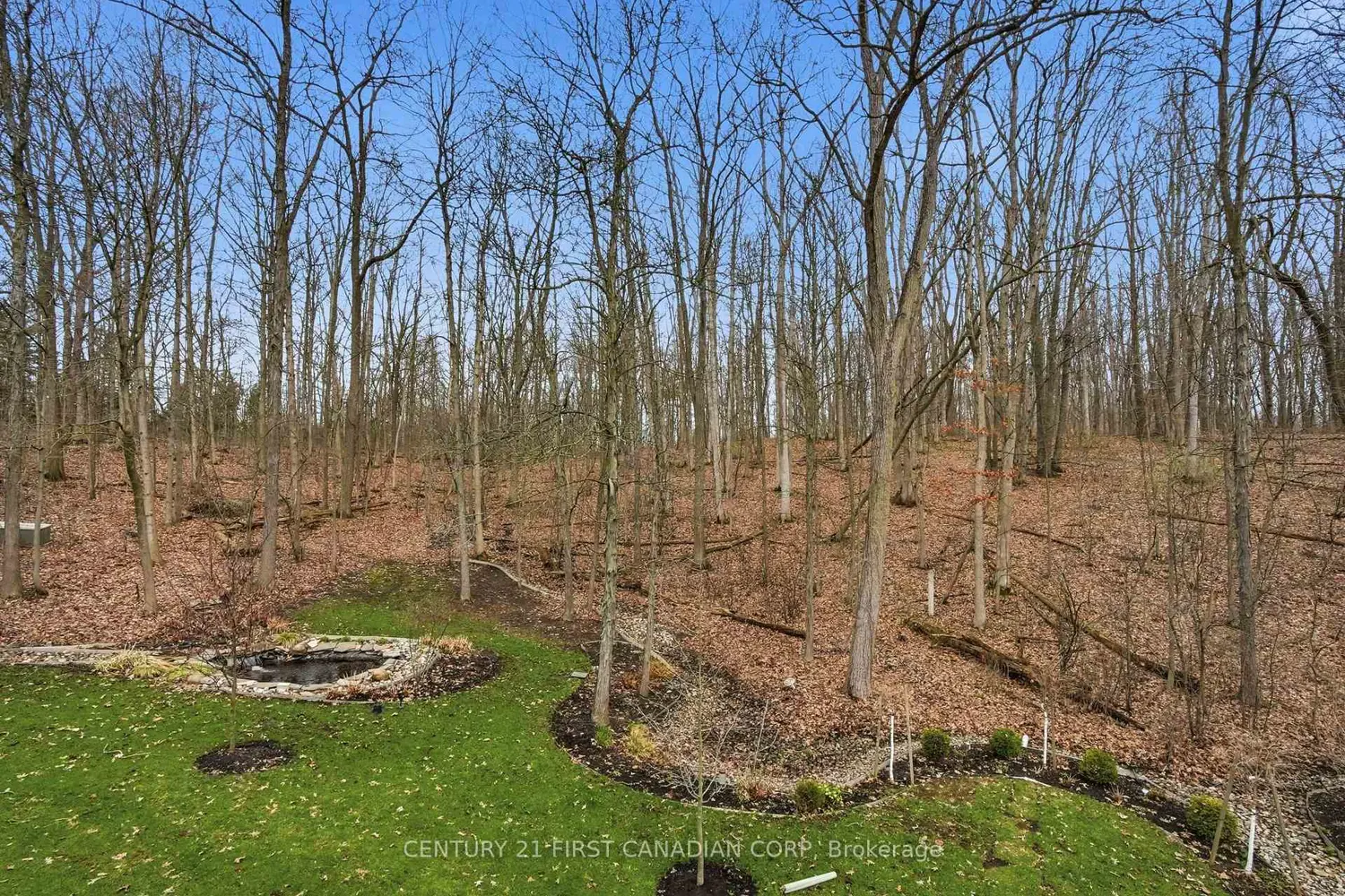 Additional image 18 of 1615 Byron Baseline Road 15