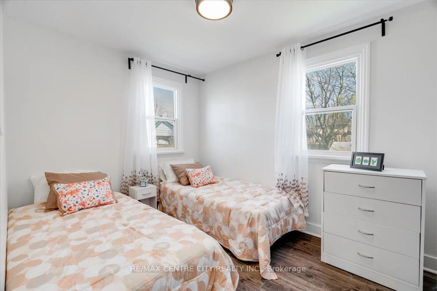 359 Albert Street photo 5