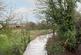 Additional image 18 of Azalea Avenue, Wickford, SS12