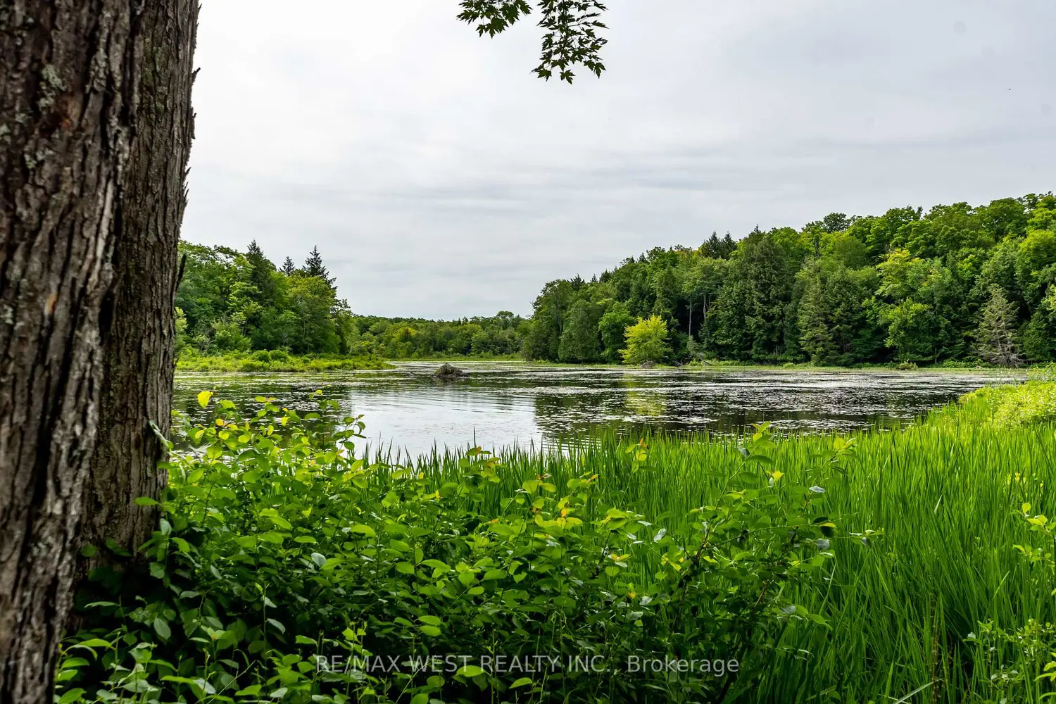 Additional image 17 of 1078 Woodwinds Road