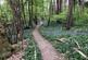 Additional image 42 of Woodlands, Chatham ME5