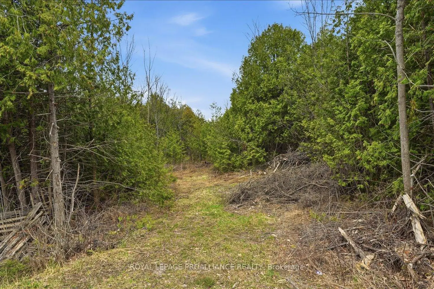 Additional image 20 of 1442 Quin-Mo-Lac Road