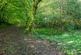Additional image 28 of Dunsland Cross, Brandis Corner, Holsworthy