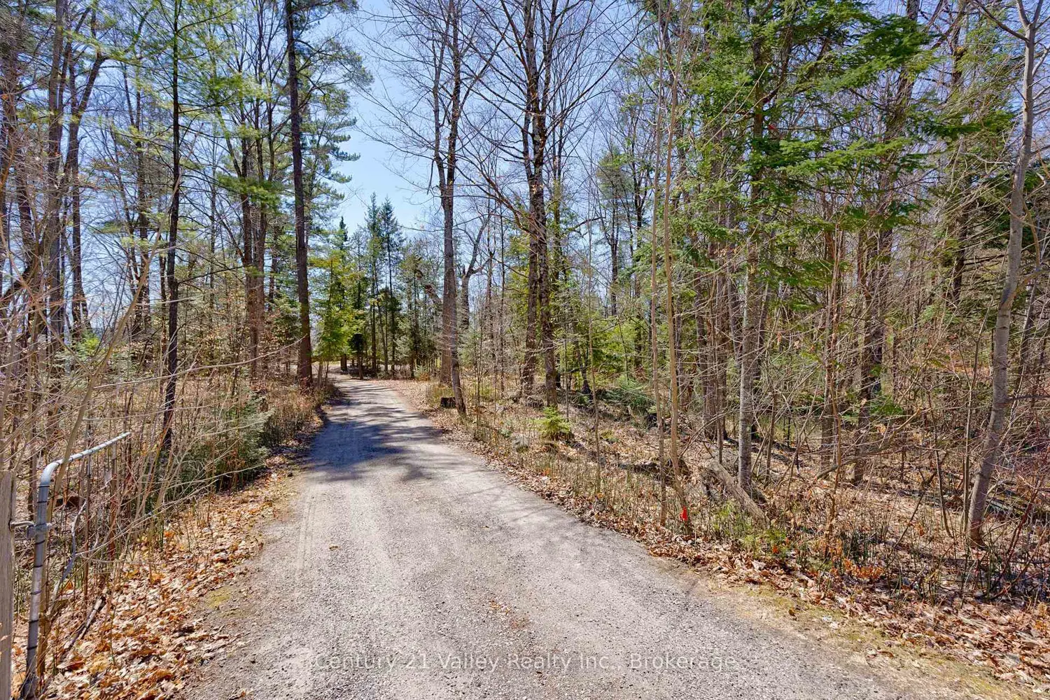 Additional image 4 of 5377 Calabogie Road