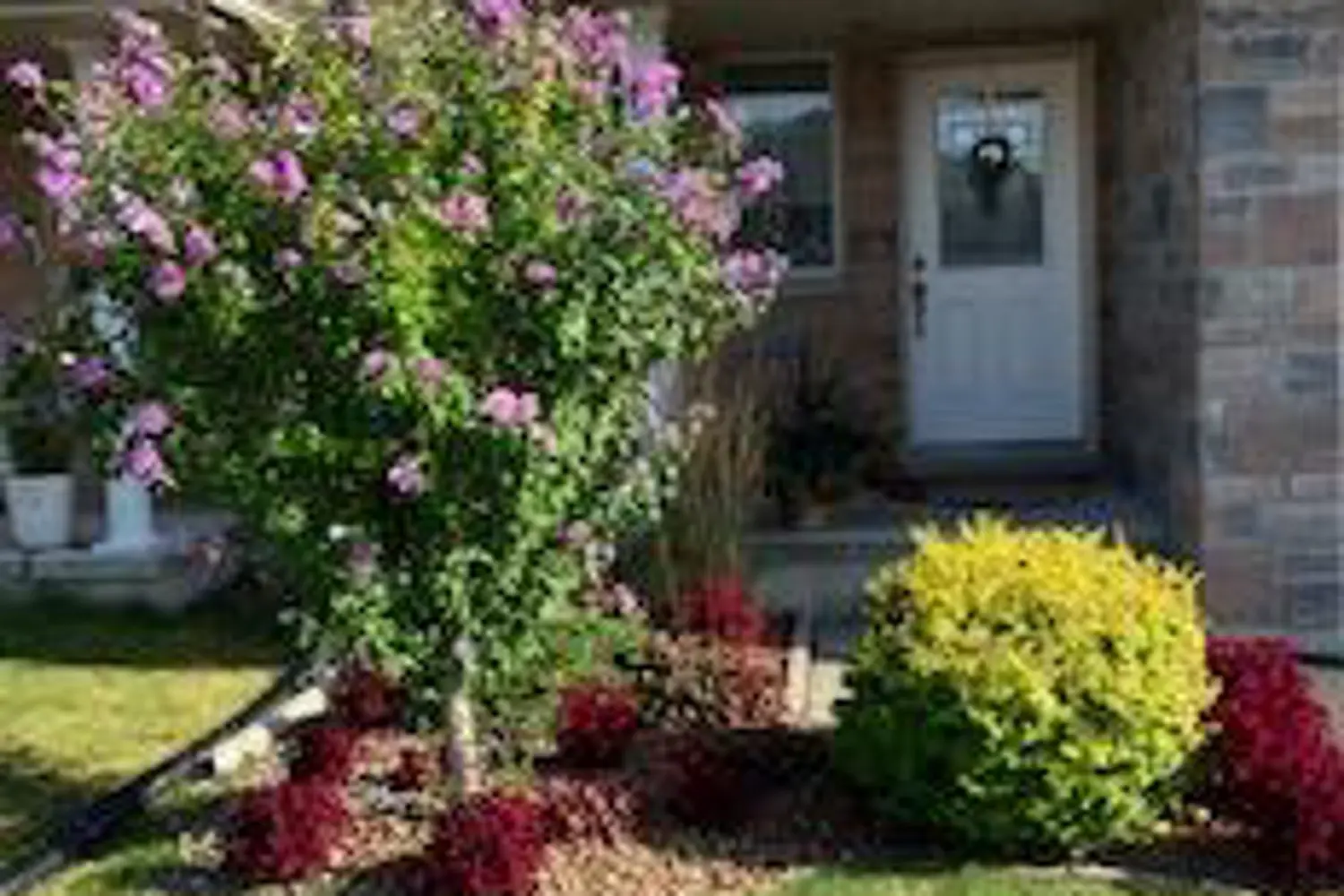Additional image 12 of 47 Mcintosh Crescent