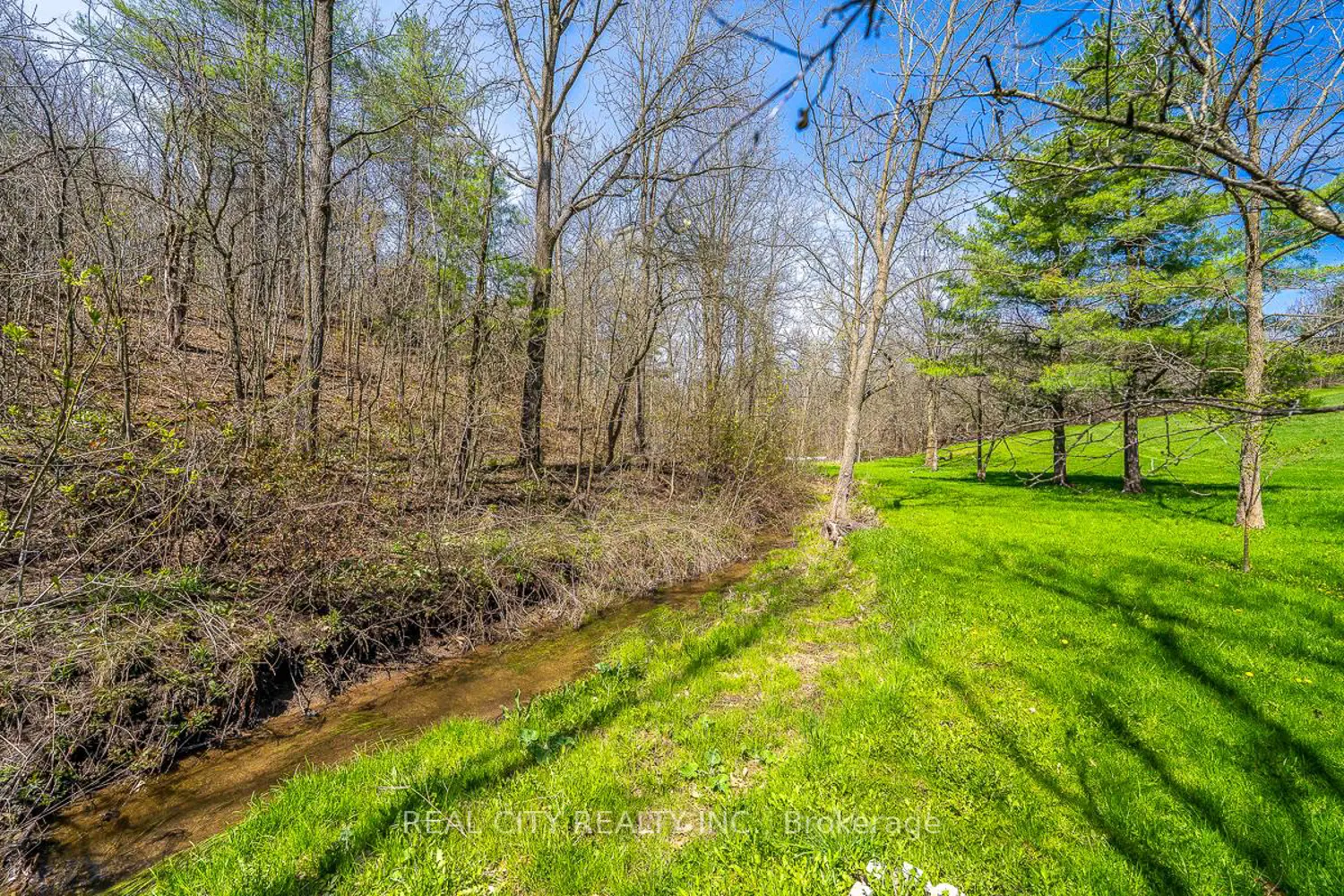 Additional image 11 of 47 River Road