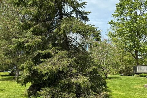 Additional image 7 of 13 Pollard Drive, Meaford, ON, N4L 1A7