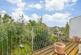Additional image 12 of Cowley Rise, Margate, Kent