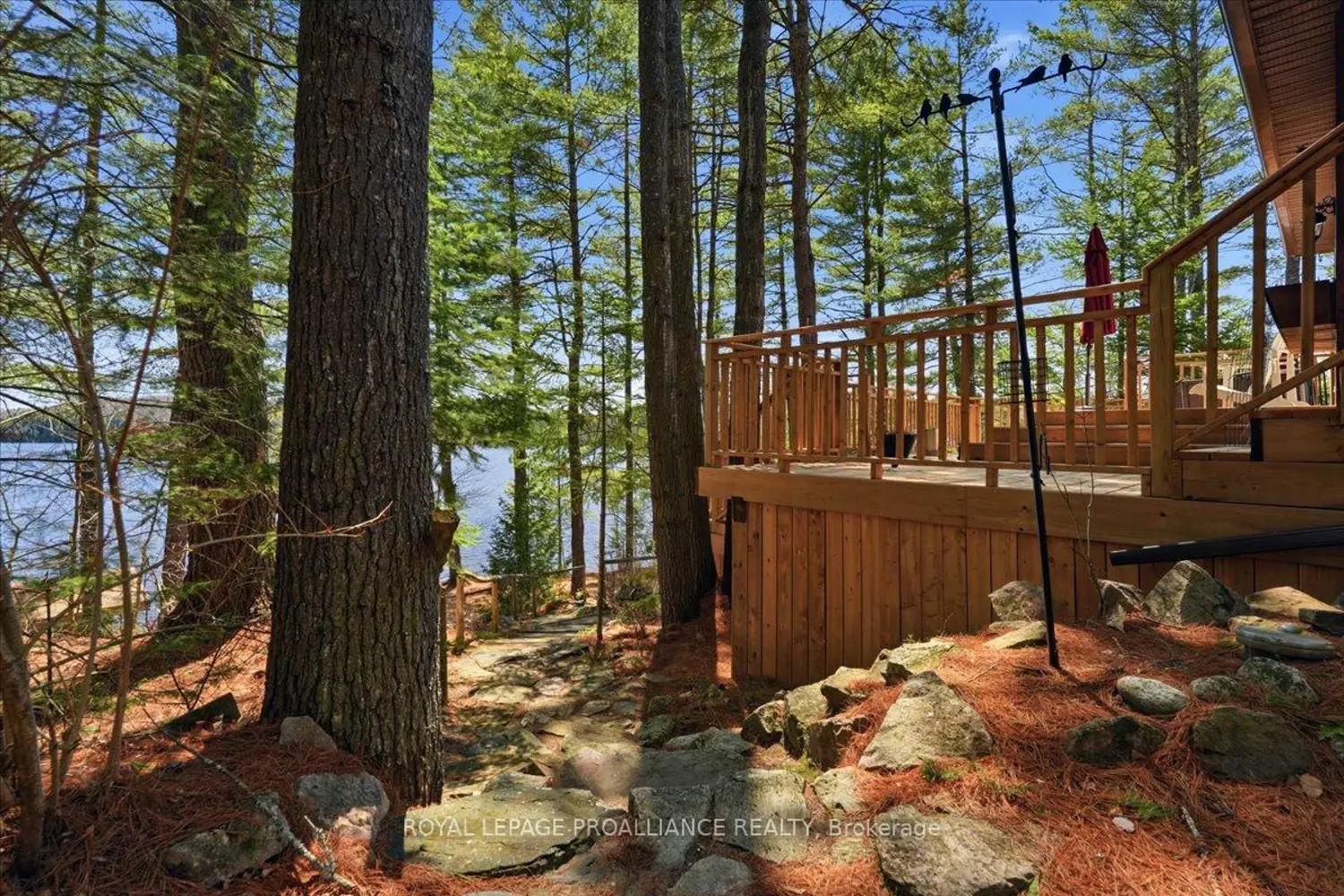 Additional image 14 of 1421 Turtle Lake Lane