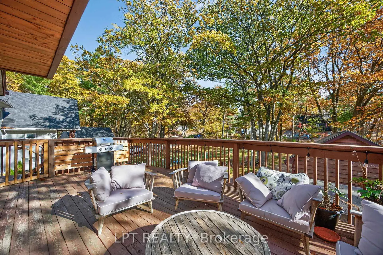 154 Park Road photo 4