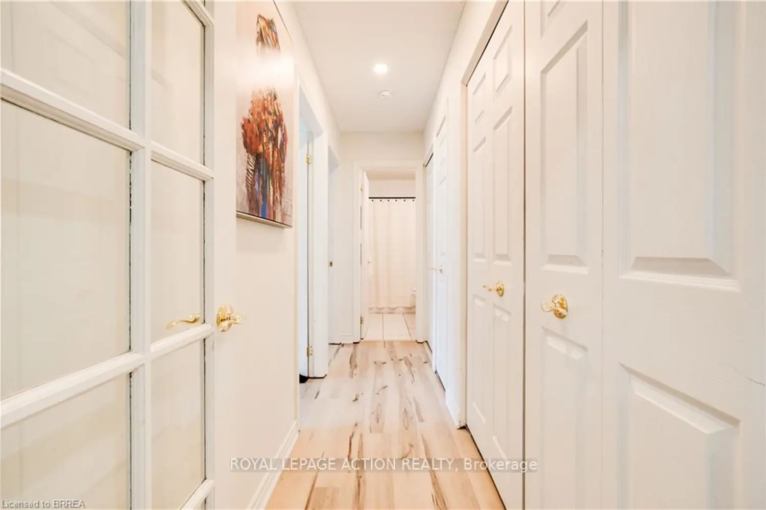 Additional image 15 of 608 Grey Street 4
