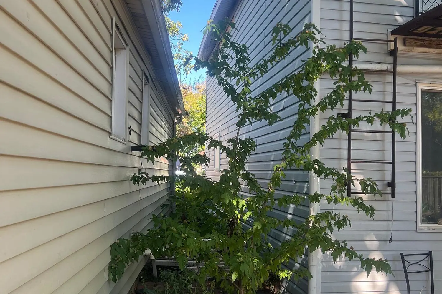 Additional image 9 of 10 Lailey Street