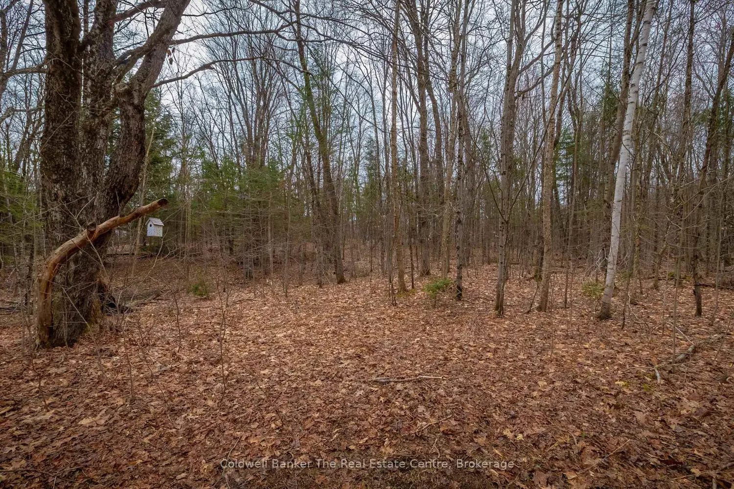 Additional image 14 of 3016 118 Highway