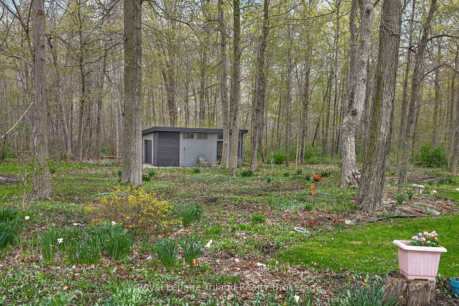 Additional image 9 of 195382 19Th Line