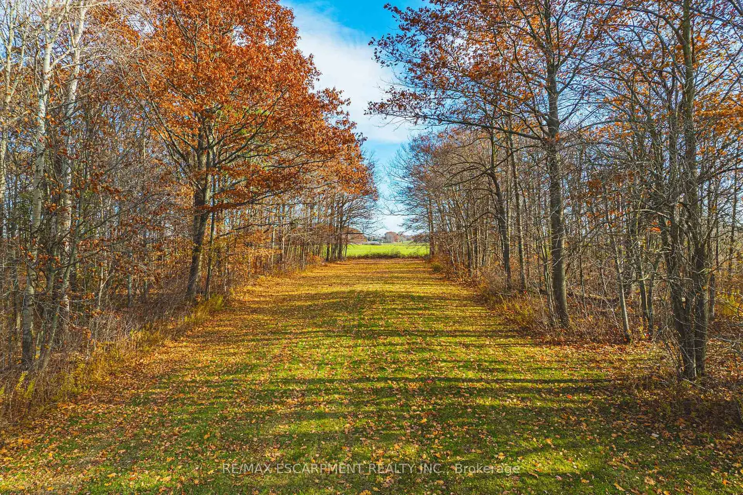 Additional image 18 of 2276 Binbrook Road