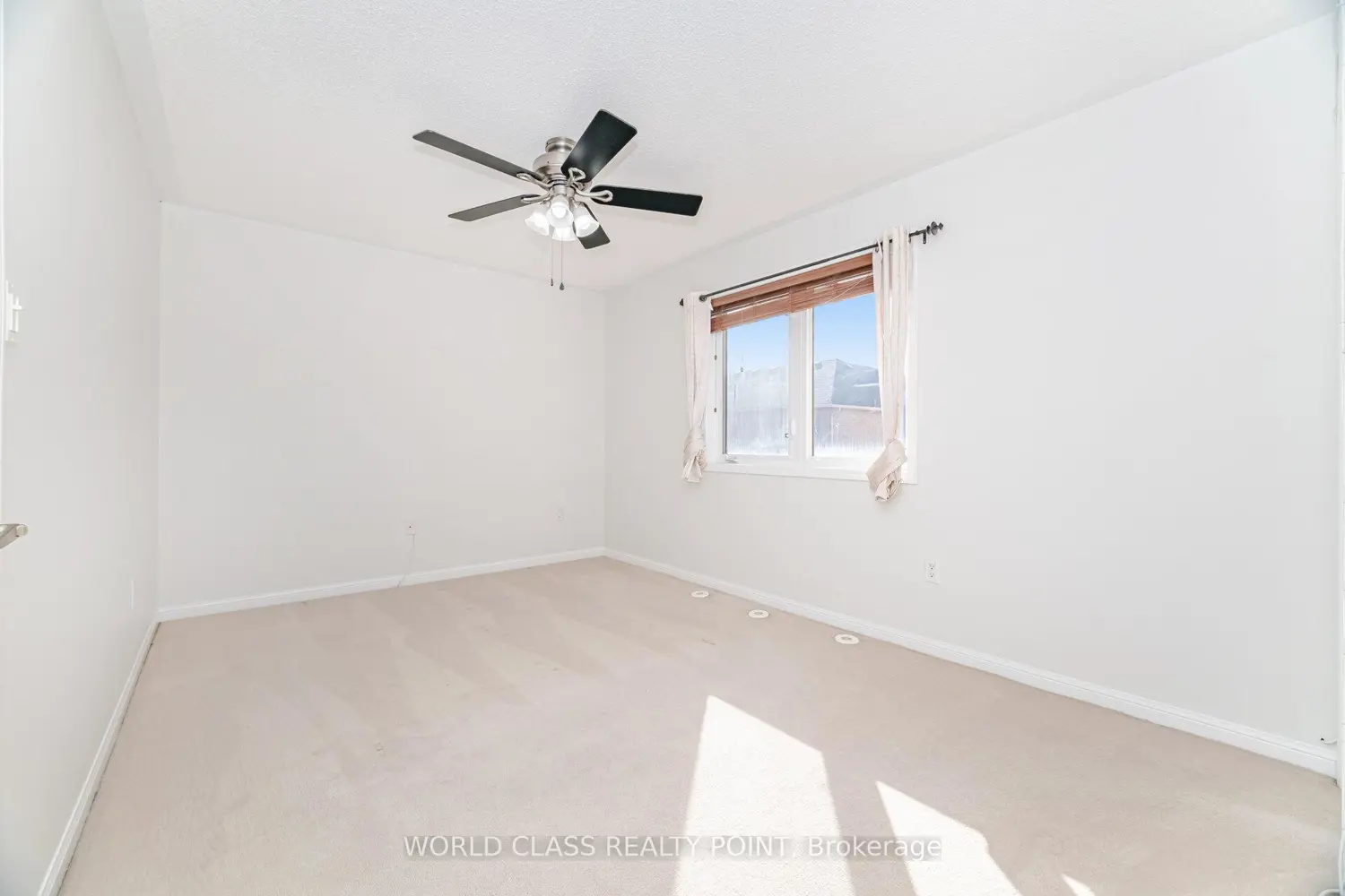 834 Herman Way photo 4