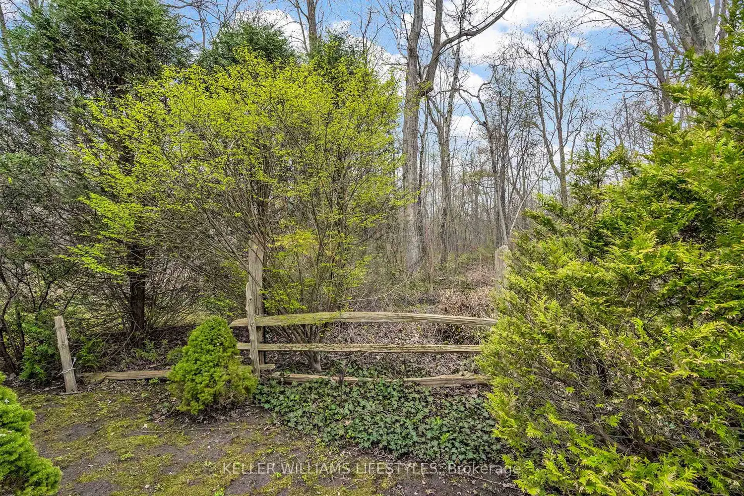 Additional image 13 of 9900 Lake Road