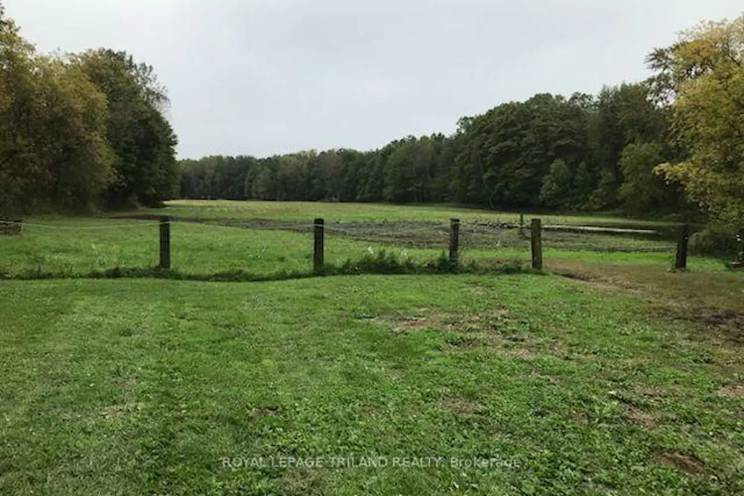 Additional image 9 of 24909 Queens Line