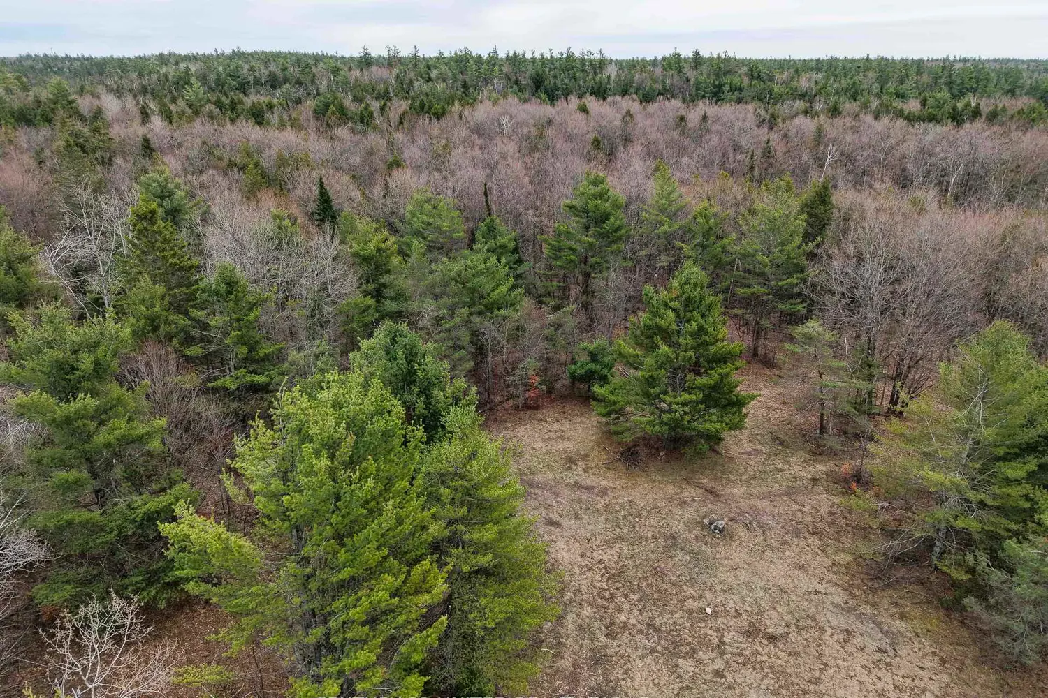 Additional image 7 of 9559 Hwy 28