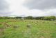Additional image 34 of Forrest Road, Shotts ML7