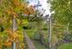 Additional image 28 of Rural setting Nr. Wookey