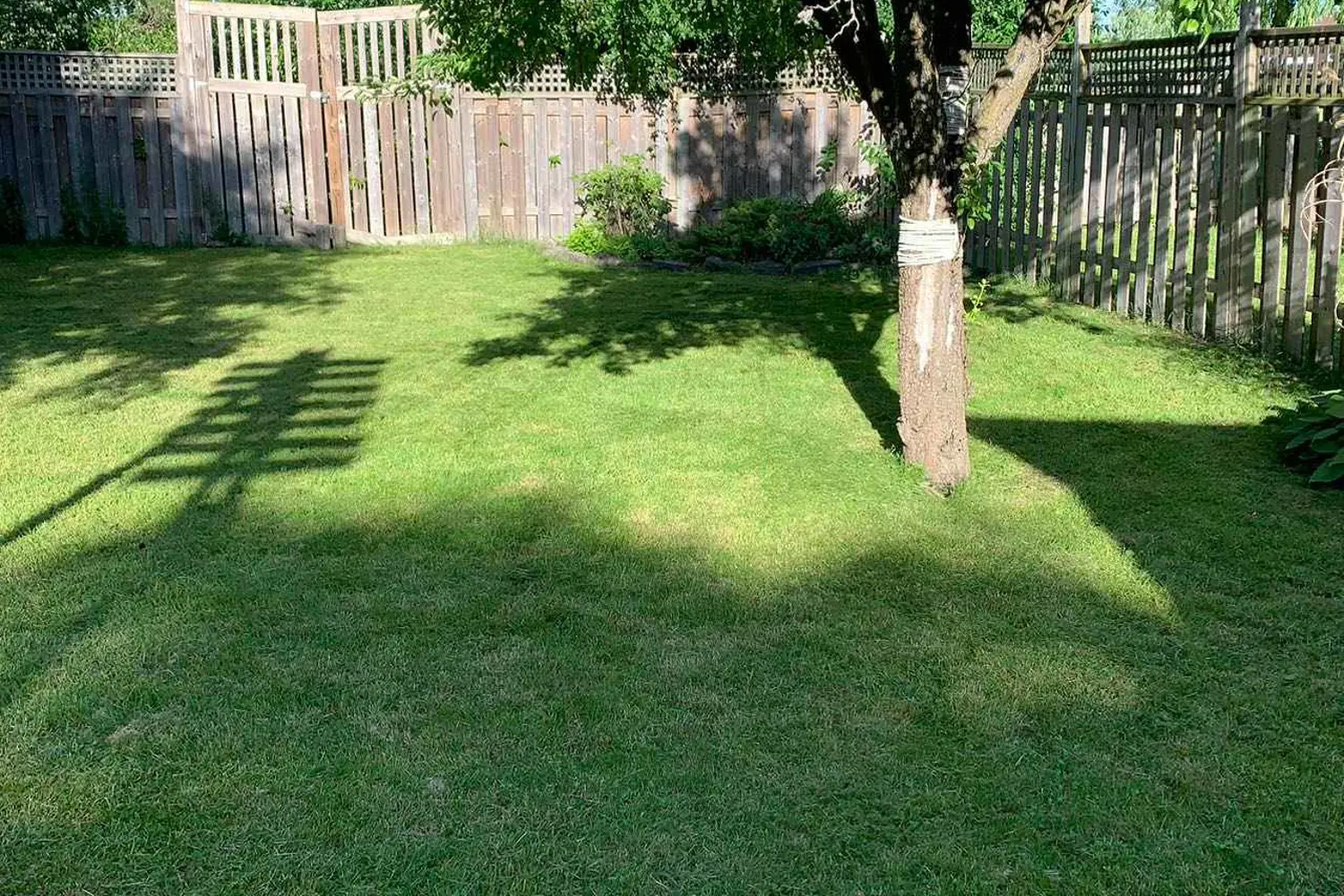 Additional image 12 of 4664 Homewood Avenue