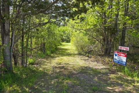 Additional image 8 of Across From 3904 Cty Rd 49 N/a, Prince Edward County, ON, K0K 2T0