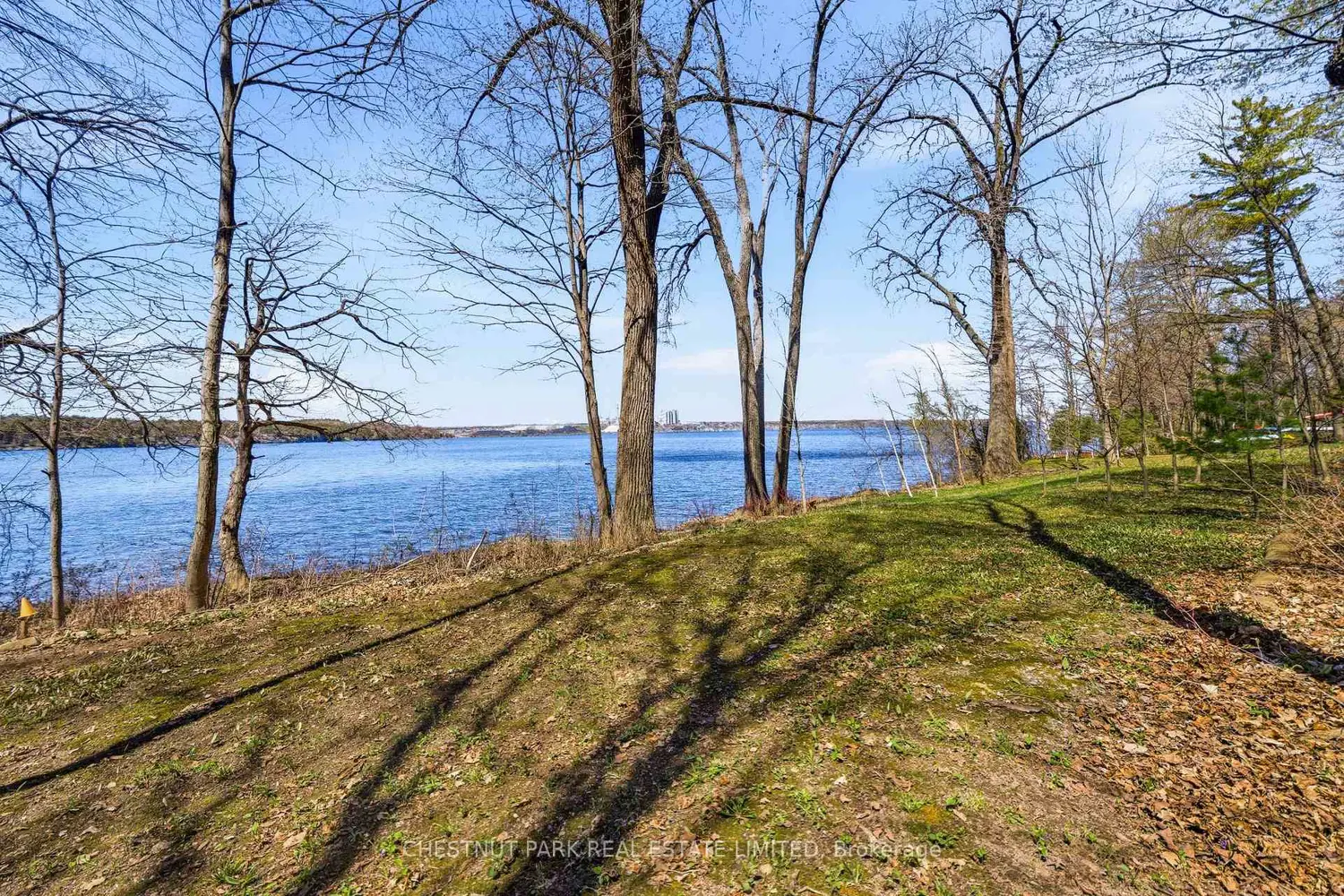 Additional image 6 of 12154 Loyalist Parkway
